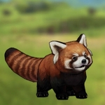 ꡼ No.032 | ©Ϥи֤ʬгھ CARAVAN STORIESץϤ쥢ӡȤȽв񤦤ˡ