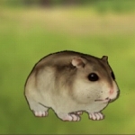 ꡼ No.036 | ©Ϥи֤ʬгھ CARAVAN STORIESץϤ쥢ӡȤȽв񤦤ˡ