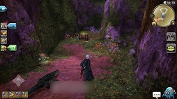 ꡼ No.030 | ʲǺƥӲ졪 CARAVAN STORIESȢξޥåդǤ路