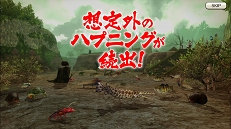 ꡼ No.057 | ٥󥰤Ϸиͥ󥸥ʤ CARAVAN STORIESץ٥󥰤ΥĤȡƤǤɤؤݡȤϤ