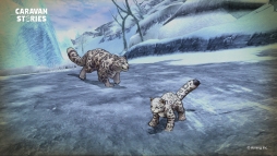 ꡼ No.003Υͥ / AimingΡCARAVAN STORIESפǥåץǡȤ»ܡ٥ƥĤΡƤǤɤˤϿ󥸥ɲ