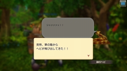 ꡼ No.027 | 襤餷⤿ޤÿͤ CARAVAN STORIES׿²åԤξܺ٤ɻҤĩ路Ƥߤ褦