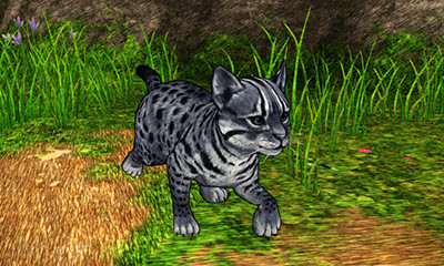 画像ギャラリー No.010のサムネイル画像 / 「CARAVAN STORIES」,沖縄県「伊江島」とのコラボイベントを実施中。島の美しい自然や固有種もゲーム内に登場