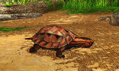 画像ギャラリー No.011のサムネイル画像 / 「CARAVAN STORIES」,沖縄県「伊江島」とのコラボイベントを実施中。島の美しい自然や固有種もゲーム内に登場