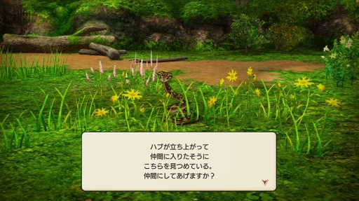 ꡼ No.017 | 츩ΰ˹礬о졪 CARAVAN STORIES׾Ƥˤܥ٥ȤθɤҲ