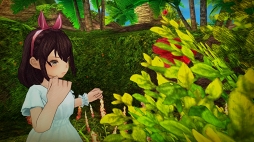 ꡼ No.034 | CARAVAN STORIES׿ꥢǹ٥Ȥо줷ȥɥܤŰ칶άҲ