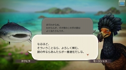 ꡼ No.042 | CARAVAN STORIES׿ꥢǹ٥Ȥо줷ȥɥܤŰ칶άҲ