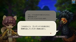 ꡼ No.049 | CARAVAN STORIES׿ꥢǹ٥Ȥо줷ȥɥܤŰ칶άҲ