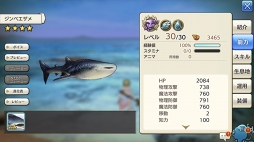 ꡼ No.052 | CARAVAN STORIES׿ꥢǹ٥Ȥо줷ȥɥܤŰ칶άҲ