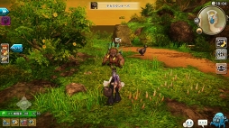 ꡼ No.060 | CARAVAN STORIES׿ꥢǹ٥Ȥо줷ȥɥܤŰ칶άҲ