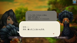 ꡼ No.061 | CARAVAN STORIES׿ꥢǹ٥Ȥо줷ȥɥܤŰ칶άҲ