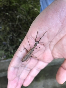 ꡼ No.039 | ǤԤϸܤˤ⤳롪CARAVAN STORIESץХζȳɤΤȤΤ