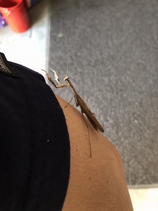 ꡼ No.040 | ǤԤϸܤˤ⤳롪CARAVAN STORIESץХζȳɤΤȤΤ