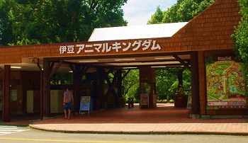 画像ギャラリー No.003のサムネイル画像 / 「CARAVAN STORIES」，“伊豆アニマルキングダム”とのコラボを実施