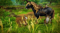 画像ギャラリー No.057のサムネイル画像 / 動物たちの楽園がイアルにやって来た! 「CARAVAN STORIES」コラボイベント“イズアニマルキングダム”の楽しみ方を解説