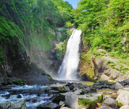 ���������꡼ No.005�Υ���ͥ������ / ��CARAVAN STORIES�פ�����β����ϤȤΥ���ܥ��٥�Ȥ��������»�