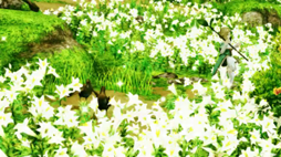 画像ギャラリー No.003のサムネイル画像 / 「キャラスト」,沖縄県「伊江島」とのコラボイベント第2弾を実施