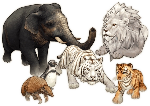 ꡼ No.002 | CARAVAN STORIESפ7ưʪ²ۤȥܡ1ƤǤϡ4Ĥưʪबо