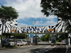 ꡼ No.007 | CARAVAN STORIESפ7ưʪ²ۤȥܡ1ƤǤϡ4Ĥưʪबо