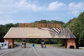 ꡼ No.008 | CARAVAN STORIESפ7ưʪ²ۤȥܡ1ƤǤϡ4Ĥưʪबо