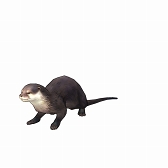 ꡼ No.006 | CARAVAN STORIESס7ưʪ&²ۤȥܥ٥Ȥ