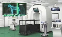 ꡼ No.015Υͥ / TGS 2016صۤȥΥ󤬶ϼ¶ǥ󥳥Хȥ롣֥ӡꥪ ޥפΥơ٥Ȥݡ