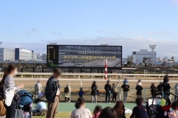 画像ギャラリー No.005のサムネイル画像 / 「ダービースタリオン マスターズ」のオフラインイベント,公式レポートが公開