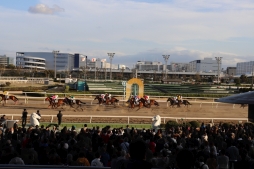 画像ギャラリー No.008のサムネイル画像 / 「ダービースタリオン マスターズ」のオフラインイベント,公式レポートが公開