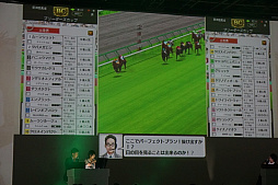 ꡼ No.006 | ֥ӡꥪ ޥס3 ӥޥ·ɤθݡȤ