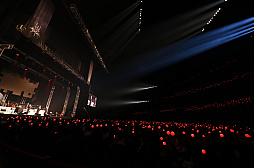 ꡼ No.013Υͥ / NieR:Automata FAN FESTIVAL 12022 쥿ǯ֥פݡȡ꡼ʤСϯɷबϪܤ