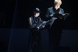 ꡼ No.041Υͥ / NieR:Automata FAN FESTIVAL 12022 쥿ǯ֥פݡȡ꡼ʤСϯɷबϪܤ