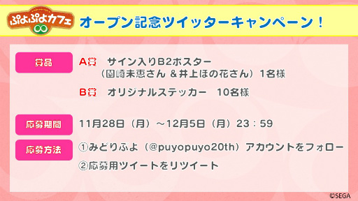 ꡼ No.014Υͥ / פפ襷꡼25ǯǰơ֤פפ襫եפǥץŹͻҤݡ