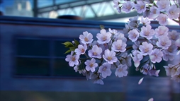 ꡼ No.004Υͥ / ֤᤬ߤᤰפ/ۿ򳫻ϡץ˥󥰥˥䡤󥿰ʤɤָꥤ٥Ȥξ󤬸