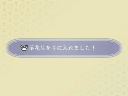 ���������꡼ No.046�Υ���ͥ������ / �֤᤬�ߤᤰ��ס��鲻�ߥ���ߥ륭���ۡ��ॺ�ʤɤΥ���ܰ�����������