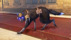 画像ギャラリー No.025のサムネイル画像 / 「よるのないくに2 〜新月の花嫁〜」新たな登場人物「ヴェルーシュカ」が公開に。主人公アルーシェとともに戦う従魔の,成長要素や進化の情報も