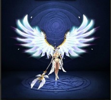 ꡼ No.004Υͥ / ֥ɥ饰󡦥ʥġץ饯Υơ徺ֱץƥब餫ˡϿ1200ǽλ