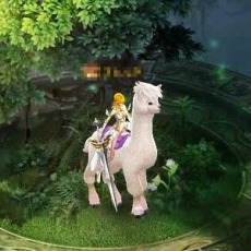 ꡼ No.002 | ֥ɥ饰󡦥ʥġ׺ǸŤμ뿷ƥġֿ붭פ1122˼á֥ۥ磻ȥޡפ