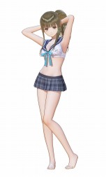 ꡼ No.007 | BLUE REFLECTIONץ顼դȤȡ֥ʤΥȥꥨפΥۥ򥤥᡼ᥤɰDLCۿ