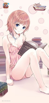 ꡼ No.010 | ƥ⥲ॹΥߥ92Ÿ󤬸ɤǤۥݥʤɤ