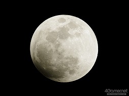 ꡼ No.002 | ܤǤ3ǯ֤γ֥꡼륺ץͥҤȴѻƤߤʤȥ८館륭ڡⳫϡ