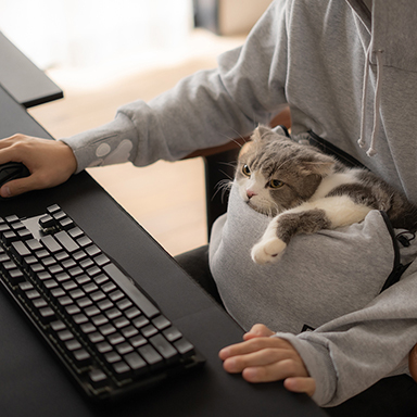 画像ギャラリー No.002のサムネイル画像 / 猫をお腹にしまってゲームの邪魔を防ぐパーカーがBauhutteから登場