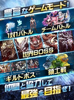 �����륯���˥���