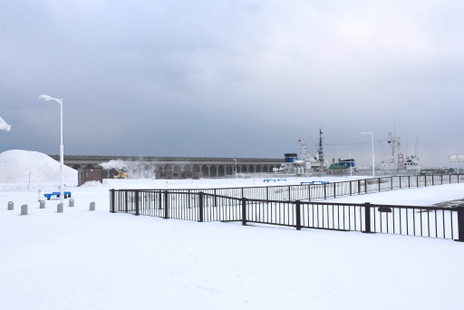 ���������꡼ No.008�Υ���ͥ������ / ���ܺ���ü�γ�������ǹԤ�줿�֡�Frostpunk�ٶ˴��θ���פ����ͤ��ݡ��ȡ��ͤ�ݤ����ϸ��οͤˤ����ϲ�����ʷ�ϵ�����ޤ줿