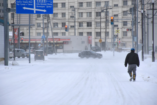 ܺüγǹԤ줿֡Frostpunkٶ˴θפͤݡȡͤݤϸοͤˤϲʷϵޤ줿