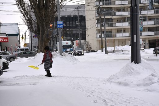 ���������꡼ No.011�Υ���ͥ������ / ���ܺ���ü�γ�������ǹԤ�줿�֡�Frostpunk�ٶ˴��θ���פ����ͤ��ݡ��ȡ��ͤ�ݤ����ϸ��οͤˤ����ϲ�����ʷ�ϵ�����ޤ줿