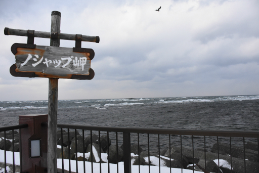 ���������꡼ No.014�Υ���ͥ������ / ���ܺ���ü�γ�������ǹԤ�줿�֡�Frostpunk�ٶ˴��θ���פ����ͤ��ݡ��ȡ��ͤ�ݤ����ϸ��οͤˤ����ϲ�����ʷ�ϵ�����ޤ줿