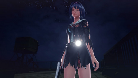 ꡼ No.026 | Ӥϰä D3PPS4ѥեȡ֥륬륾ӥϥ󥿡פΥ೵פ餫