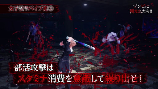 SGZHۥ륬륾ӥϥ󥿡 ץ⡼ࡼӡ