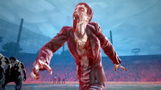 ꡼ No.016 | ֥륬륾ӥϥ󥿡פȯ䡤֤ХХZץܰʤDLCۿȡ䥾Ӥξ