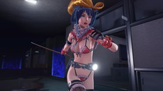 ꡼ No.036 | ֥륬륾ӥϥ󥿡פȯ䡤֤ХХZץܰʤDLCۿȡ䥾Ӥξ